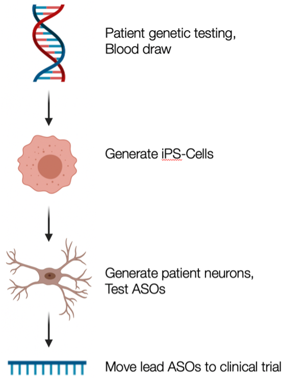 RNAtherapeuticsPic1 RNA therapy